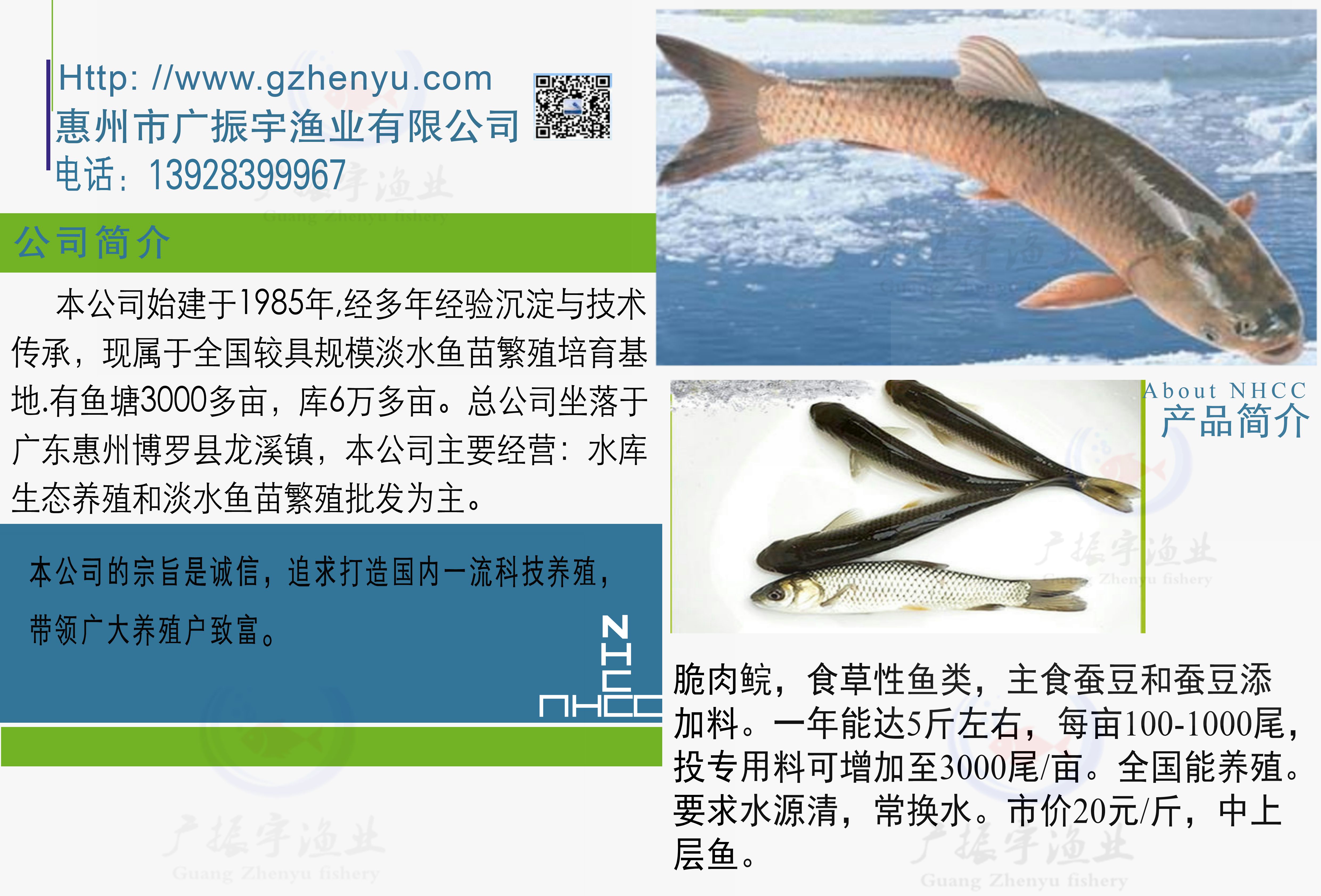 脆肉皖