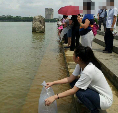 鱼苗放生