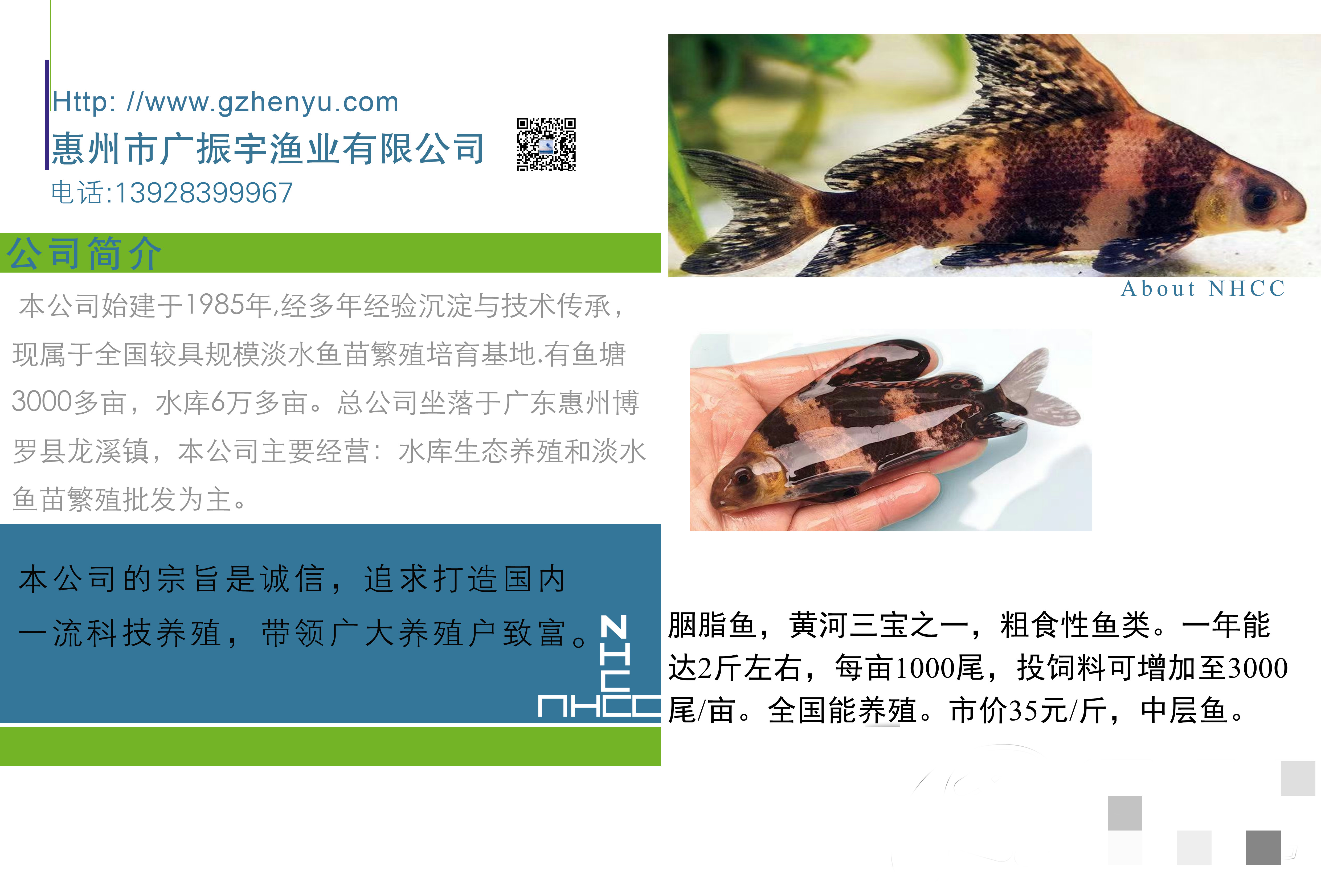胭脂鱼